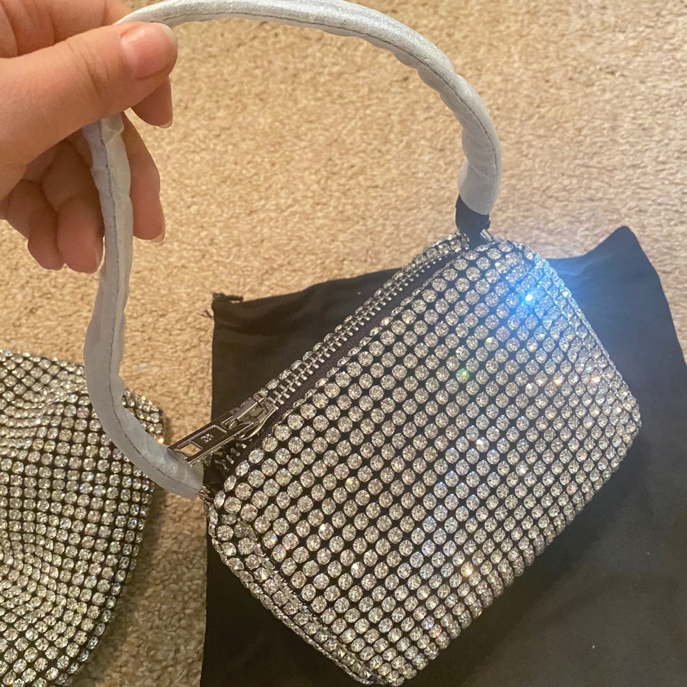 Alexandra wang heiress pouch